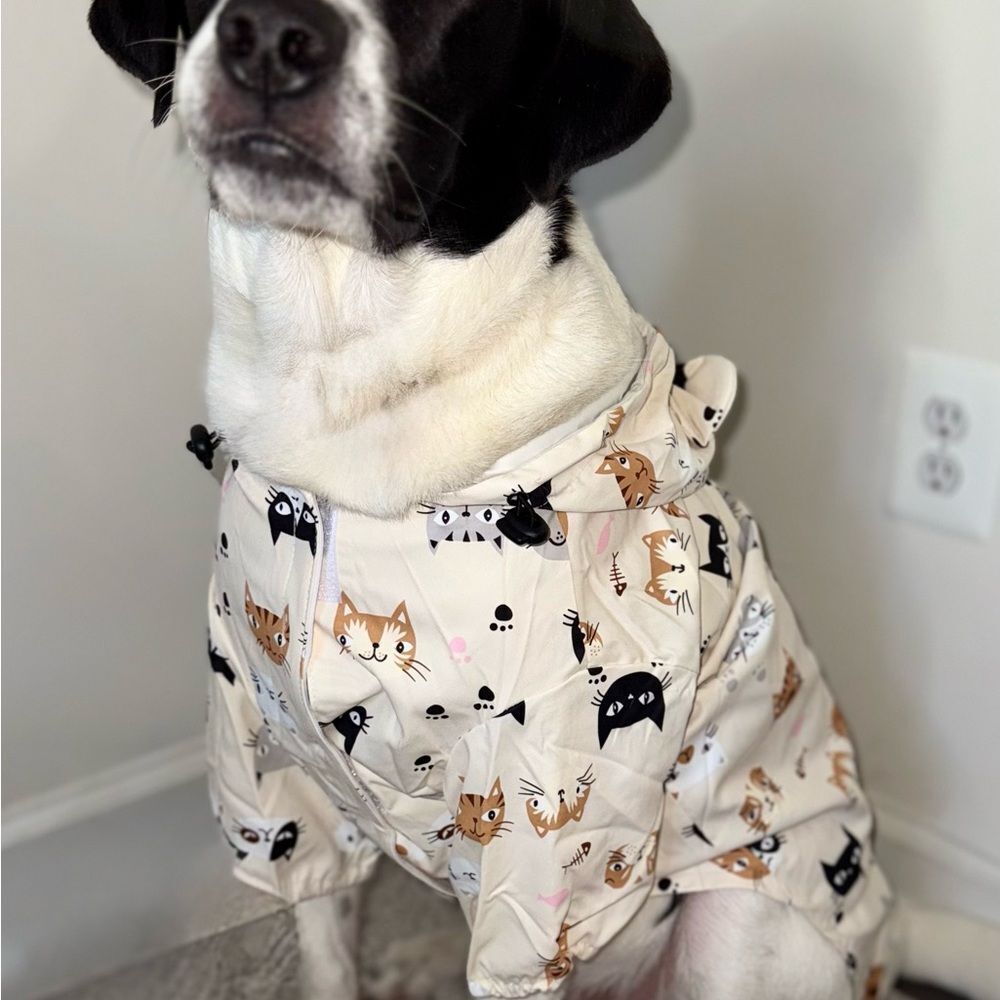 Stylish Cream Dog Raincoat with Cat Print